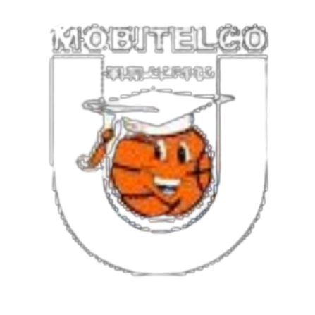 TEO Vilnius Women logo