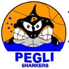 Pegli U20 logo