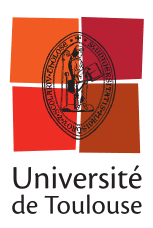 University of Toulouse II Women logo