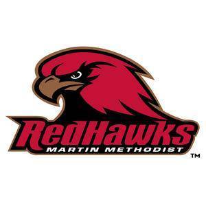 Martin Methodist logo
