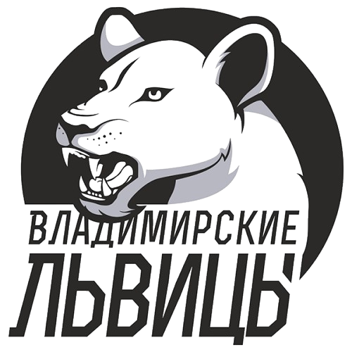 弗拉基米尔大学VlGU女篮