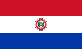Paraguay U17 logo