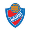 Haukar logo