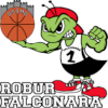 Robur Falconara logo