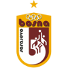 Bosna logo