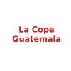 Guatemala Women logo