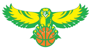 Druzhkivka Women logo