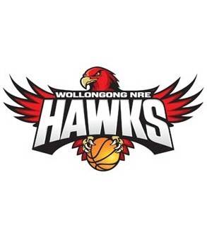 Wollongong Hawks logo