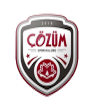 Kozum Ankara College logo