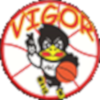 Vigor Conegliano logo