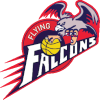 Flying Falcons logo