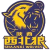 Shaanxi Xinda U19 logo