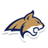 Montana St.-Northern logo