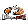Toros del Norte logo