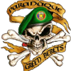 Paranaque Green Berets logo
