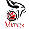 Virgin women basketball team logo