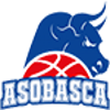 Toros ASOBASCA logo