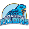 Adamson Soaring Falcons Young logo