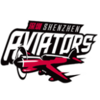 Shenzhen Leopards 2 logo