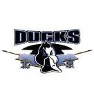 Beijing Shouti U19 logo