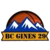 Gines 29 logo