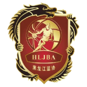 Heilongjiang U21 logo