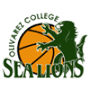 OC Sea Lions