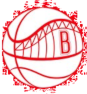 Bright Sports logo