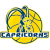 WAT 3 Capricorns 3 logo