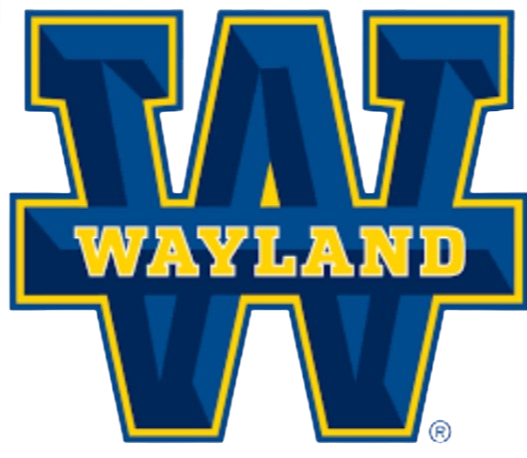 Wayland Baptist Univ logo