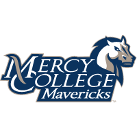 mercy college
