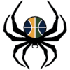 Australian Spiders logo
