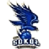 MKS Sokol Miedzychod logo