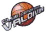 Valdivia logo