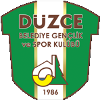 Duzce Belediye Women logo