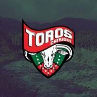 Toros De Chiriqui logo
