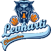 Levharti Chomutov Women logo