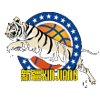 Xinjiang Flying Tigers U21 logo