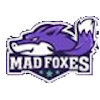 Crazy fox logo