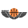 Burgut logo
