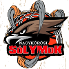 Nagykorosi Solymok KE U20 logo