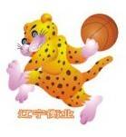 Liaoning Hengye U19 Women logo