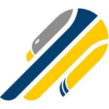 UEB Gesteco Cividale logo