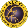 Amatori Falconara U20 logo