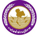 Provincial Electricity Authority logo