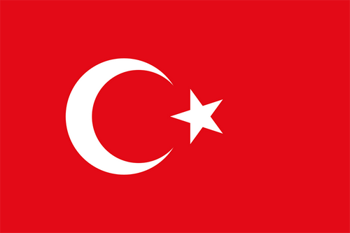 Neslihan Arin-team-logo