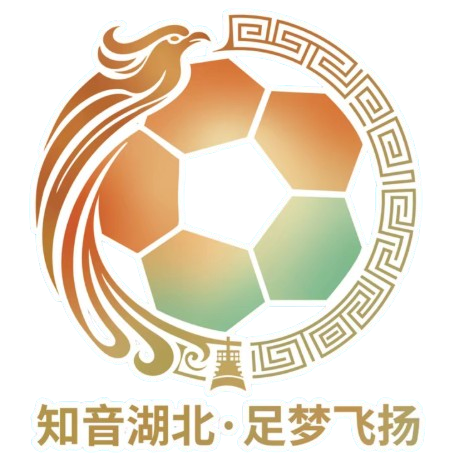 Hubei City Football League Hubei City Football League