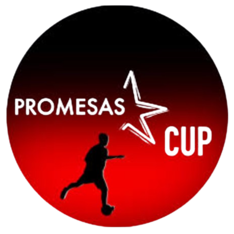 โลโก้ลีก