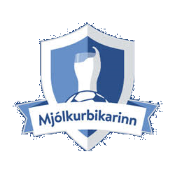 Icelandic Cup Logo