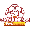 Brazilian Campeonato Catarinense Division 1